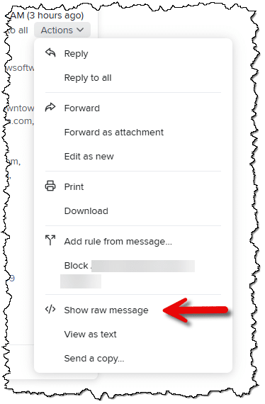 Actions menu with "Show raw message" highlighted.