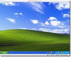 Windows XP in a Virtual Machine