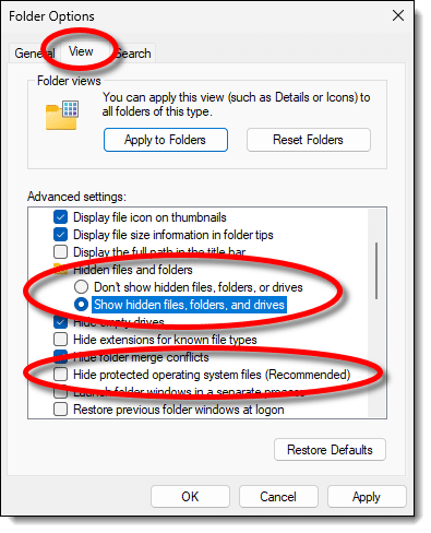 Windows File Explorer options.