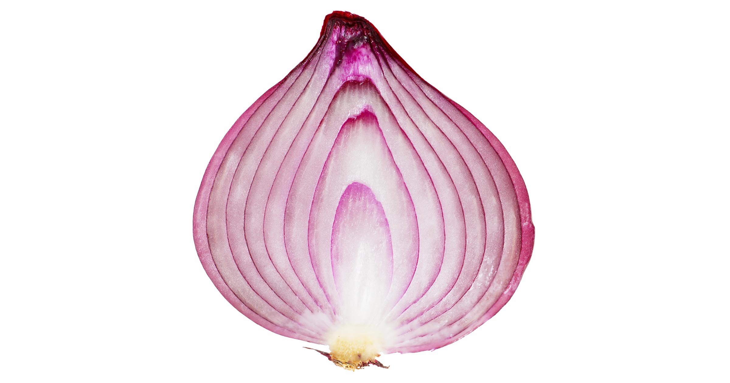 twitter tor onion