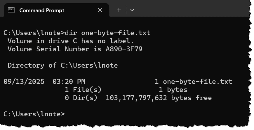 A one byte file displayed in Command Prompt