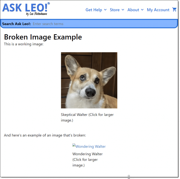 Ask Leo! Page with an example broken image.