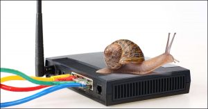 Is your network as slow as a snail?