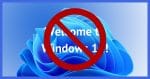 Welcome to Windows 11 - No!
