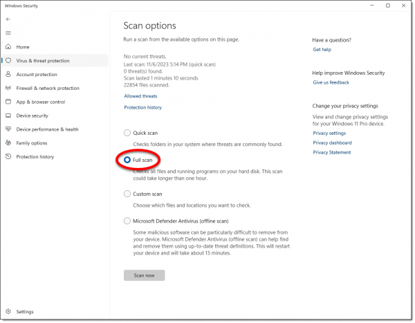 Windows Security full scan.