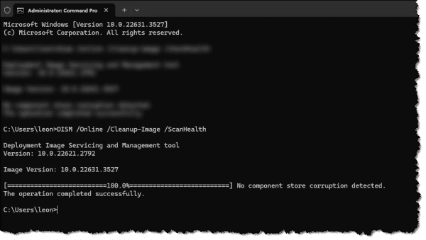 DISM scanhealth operation.