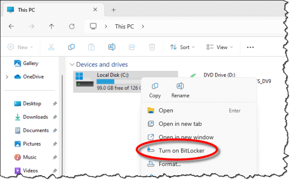 BitLocker management: Pro editions only.