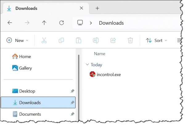 A .exe file in Downloads folder.