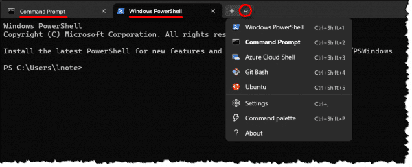 Windows Terminal