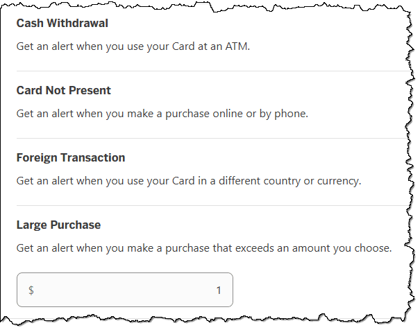 Account alert options in my American Express account.